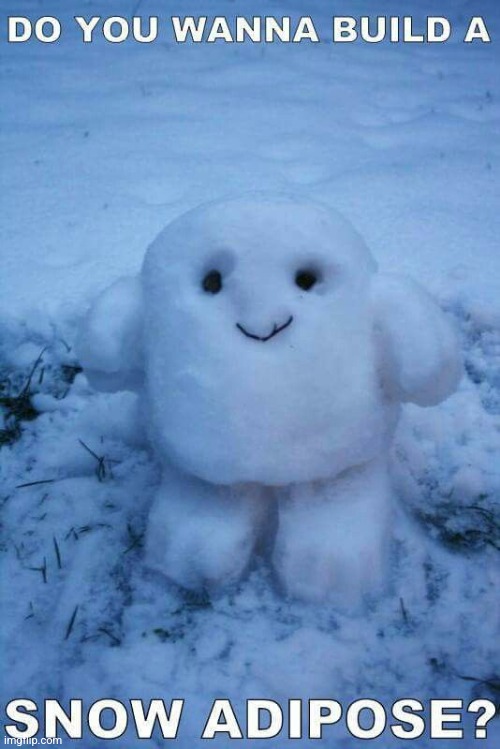 SJDIEIWJHDKQJEHFBDSBNQNWMFMSMENE PSLSPLPLSËLSLS | made w/ Imgflip meme maker