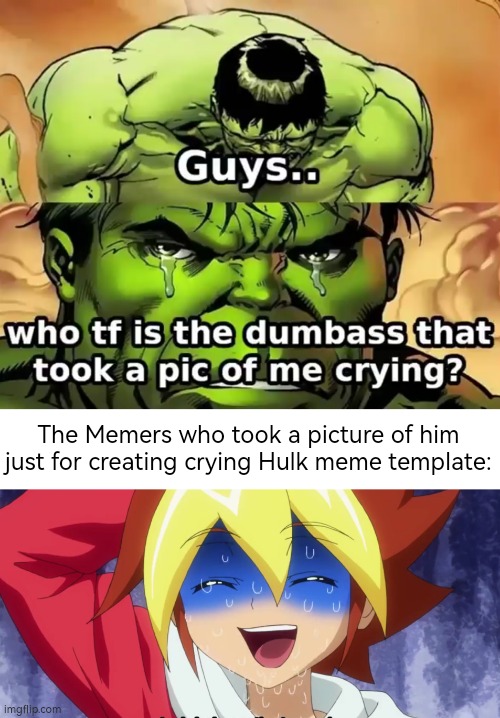 That's the Life of the Memers, Hulk. | The Memers who took a picture of him just for creating crying Hulk meme template: | image tagged in crying hulk,memers | made w/ Imgflip meme maker