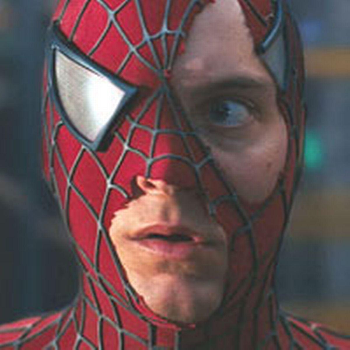 Spider mask Blank Meme Template