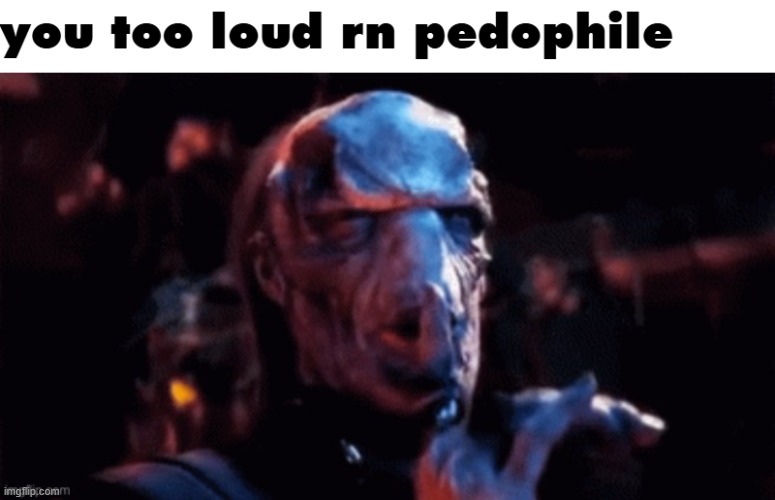 New temp (idk why i made it) | image tagged in you too loud rn pedophile | made w/ Imgflip meme maker