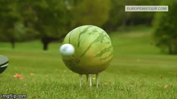 Golf vs Melone