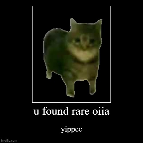 oiia cat | u found rare oiia | yippee | image tagged in funny,demotivationals | made w/ Imgflip demotivational maker