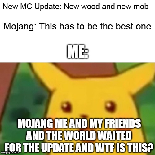 New Minecraft Update | New MC Update: New wood and new mob; Mojang: This has to be the best one; ME:; MOJANG ME AND MY FRIENDS AND THE WORLD WAITED FOR THE UPDATE AND WTF IS THIS? | image tagged in memes,surprised pikachu | made w/ Imgflip meme maker