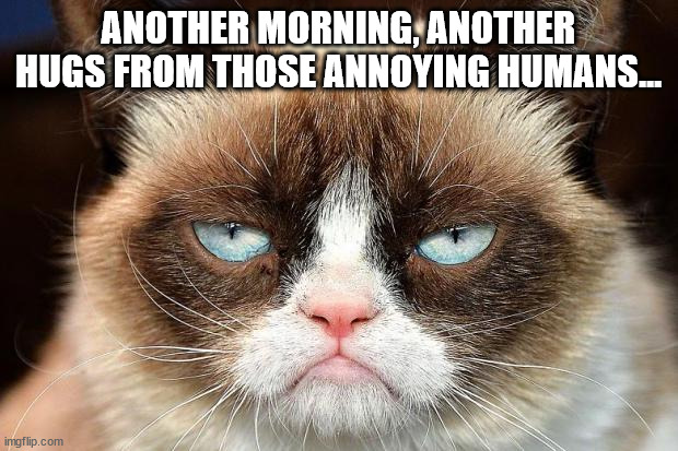 grumpy cat's morning | ANOTHER MORNING, ANOTHER HUGS FROM THOSE ANNOYING HUMANS... | image tagged in memes,grumpy cat not amused,grumpy cat,cats,funny cats,funny memes | made w/ Imgflip meme maker