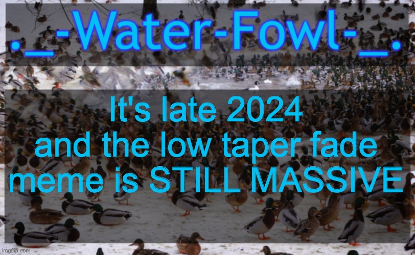 WaterFowl Announcement temp | It's late 2024 and the low taper fade meme is STILL MASSIVE | image tagged in waterfowl announcement temp | made w/ Imgflip meme maker