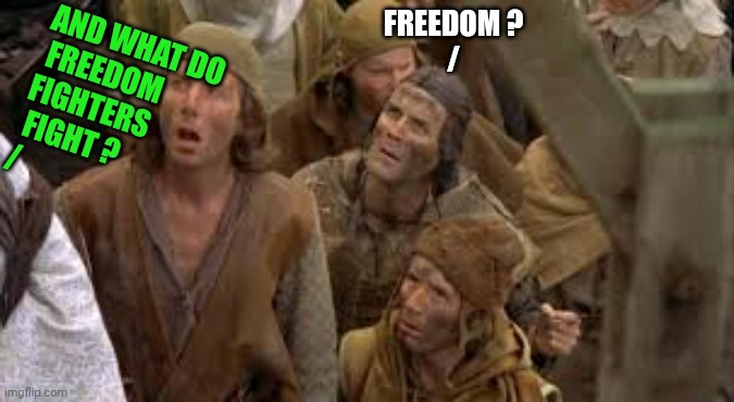 FREEDOM ?
/ AND WHAT DO
 FREEDOM 
FIGHTERS
 FIGHT ?
/ | made w/ Imgflip meme maker