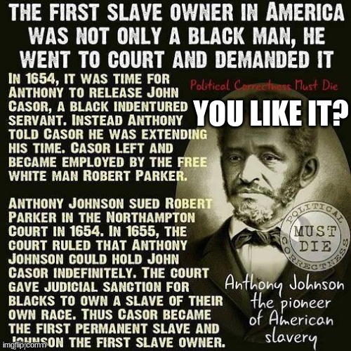 YOU LIKE IT? | image tagged in anthony johnson first slave owner | made w/ Imgflip meme maker