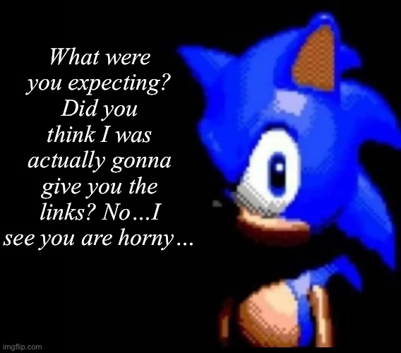 Sonic stares | What were you expecting? Did you think I was actually gonna give you the links? No…I see you are horny… | image tagged in sonic stares | made w/ Imgflip meme maker