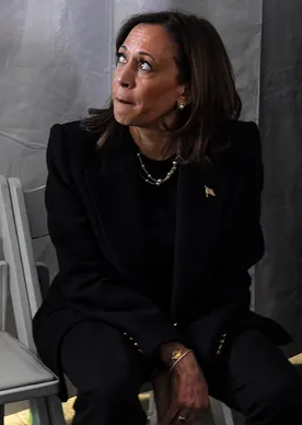 Kamala sad Blank Meme Template