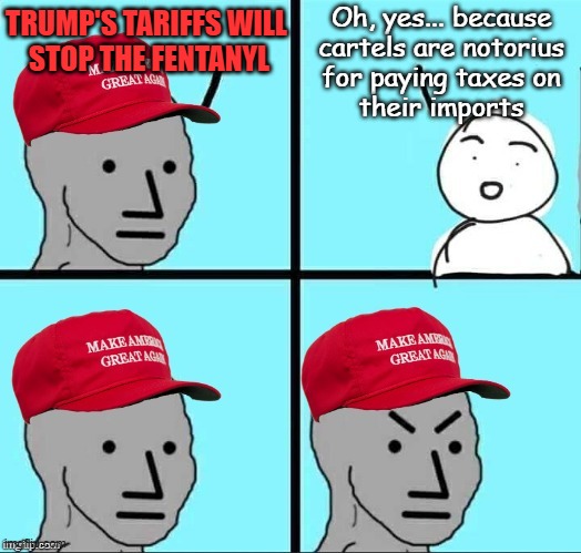 I can't believe you guys actually fell for that... | Oh, yes... because
cartels are notorius
for paying taxes on
their imports; TRUMP'S TARIFFS WILL
 STOP THE FENTANYL | image tagged in maga npc,seriously wtf | made w/ Imgflip meme maker