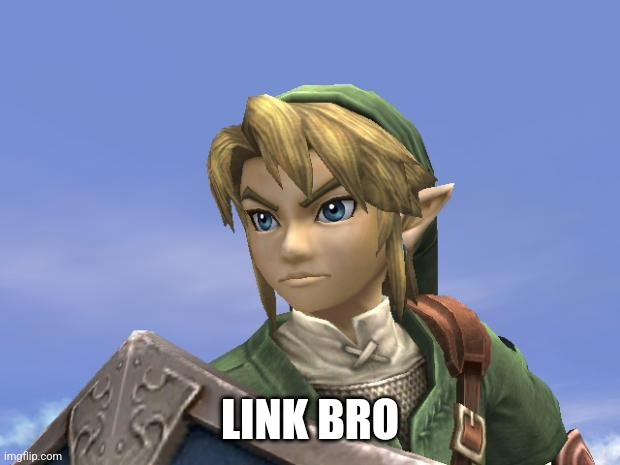 Link | LINK BRO | image tagged in link | made w/ Imgflip meme maker