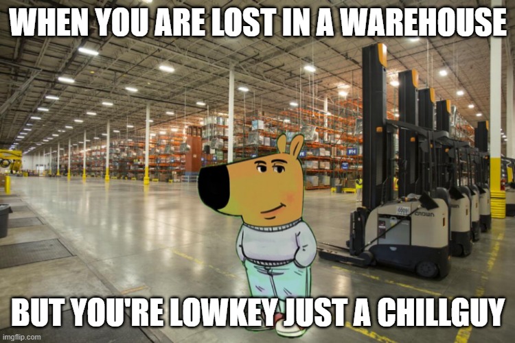 Chill Guy Warehouse | WHEN YOU ARE LOST IN A WAREHOUSE; BUT YOU'RE LOWKEY JUST A CHILLGUY | image tagged in chill guy warehouse | made w/ Imgflip meme maker