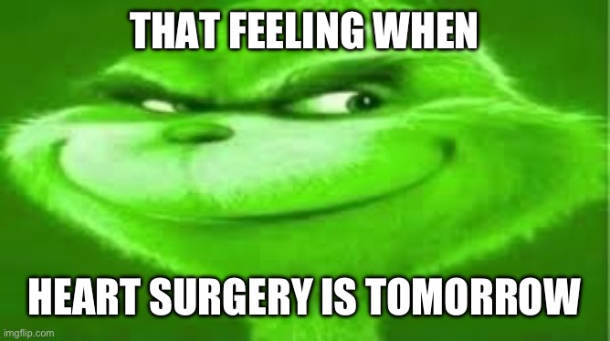 Green Grinch | THAT FEELING WHEN; HEART SURGERY IS TOMORROW | image tagged in green grinch | made w/ Imgflip meme maker