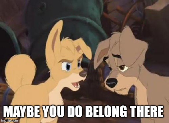 Maybe You Do Belong There | MAYBE YOU DO BELONG THERE | image tagged in lady and the tramp 2 angel,disney dogs,alyssa milano,disney,dogs | made w/ Imgflip meme maker