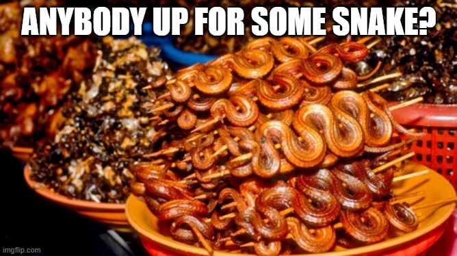 Try Snake | ANYBODY UP FOR SOME SNAKE? | image tagged in food | made w/ Imgflip meme maker