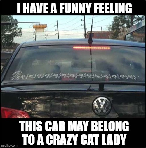 Nice Window Stickers ! | I HAVE A FUNNY FEELING; THIS CAR MAY BELONG TO A CRAZY CAT LADY | image tagged in cats,stickers,crazy cat lady | made w/ Imgflip meme maker