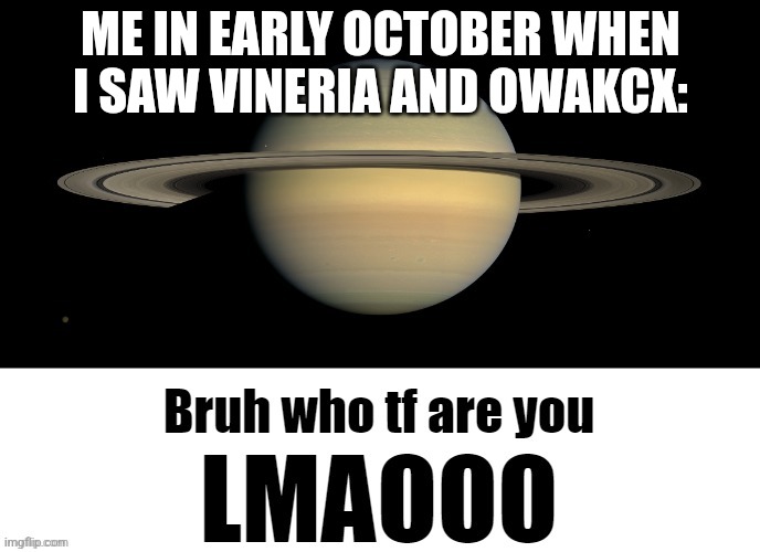 I found out who OWAKCX was before Vineria | ME IN EARLY OCTOBER WHEN I SAW VINERIA AND OWAKCX: | image tagged in bruh who tf are you lmaooo | made w/ Imgflip meme maker