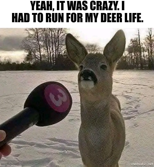 Yeah, It Was Crazy I Had To Run For My Deer Life. | YEAH, IT WAS CRAZY. I HAD TO RUN FOR MY DEER LIFE. | image tagged in chris joines | made w/ Imgflip meme maker