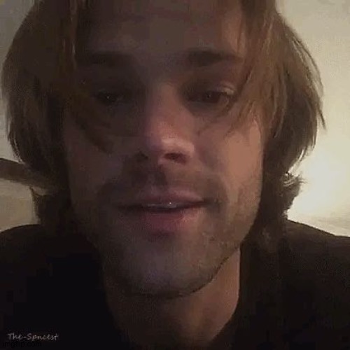 I Mean I Hate Jared With A Passion (Still Not As Bad As Some People) But This Is Actually Adorable | image tagged in jared padalecki,actually adorable smh | made w/ Imgflip meme maker