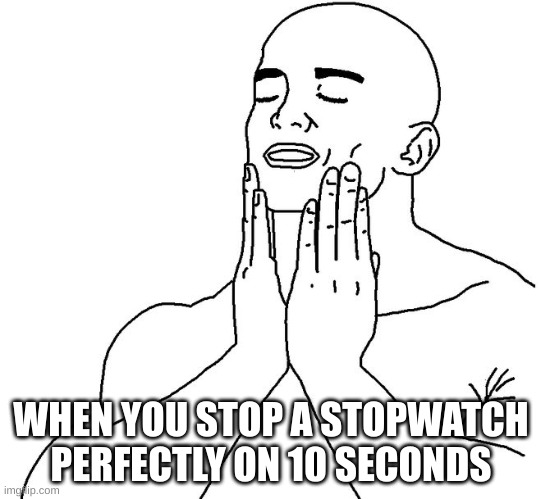 10.000. Noice | WHEN YOU STOP A STOPWATCH PERFECTLY ON 10 SECONDS | image tagged in satisfaction | made w/ Imgflip meme maker