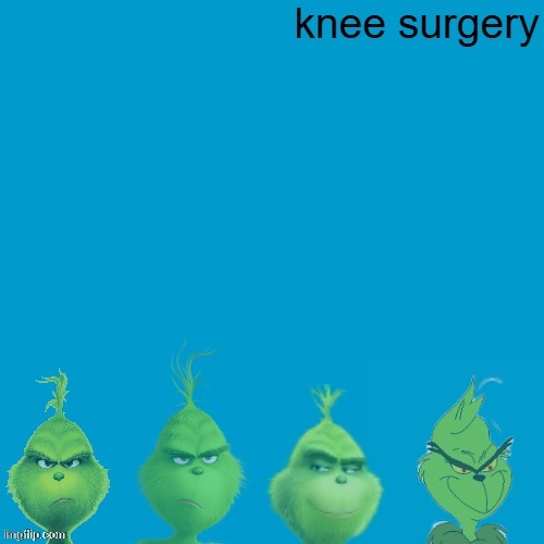 I had to | image tagged in weezer,grinch,knee surgery,christmas,blue grinch,memes | made w/ Imgflip meme maker