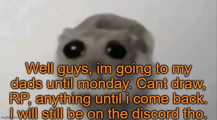 Ima figure smth out to get my account on my phone as well so i could at LEAST RP or post a lil here. | Well guys, im going to my dads until monday. Cant draw, RP, anything until i come back. I will still be on the discord tho. | image tagged in sad hamster | made w/ Imgflip meme maker