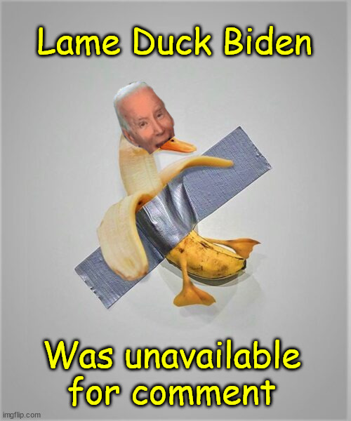 The official 46th pResident portrait revealed | Lame Duck Biden Was unavailable for comment | image tagged in lame duck,joe biden,bye bye banana republic | made w/ Imgflip meme maker