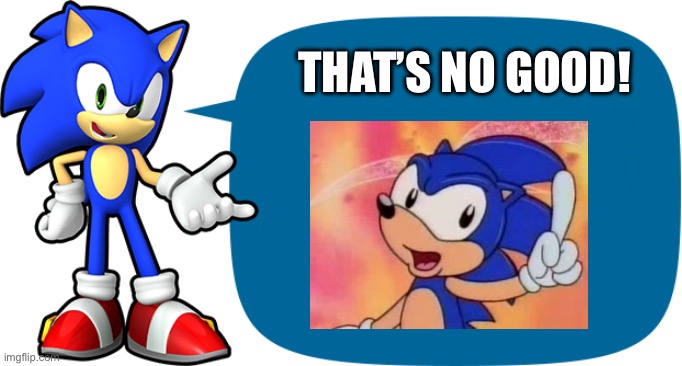 Sonic Sez | THAT’S NO GOOD! | image tagged in sonic sez | made w/ Imgflip meme maker