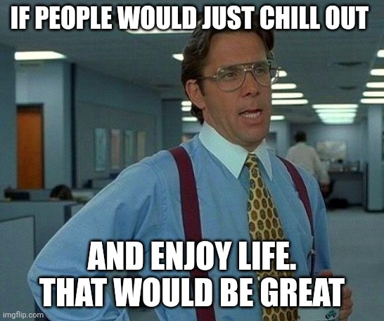 Enjoy life | IF PEOPLE WOULD JUST CHILL OUT; AND ENJOY LIFE.  THAT WOULD BE GREAT | image tagged in memes,that would be great,funny memes | made w/ Imgflip meme maker