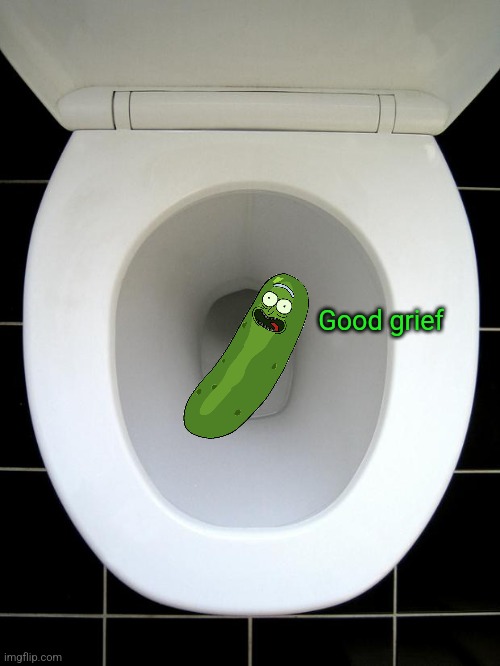 TOILET | Good grief | image tagged in toilet | made w/ Imgflip meme maker