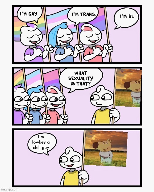 What Sexuality Is That? | I’m lowkey a chill guy | image tagged in what sexuality is that | made w/ Imgflip meme maker