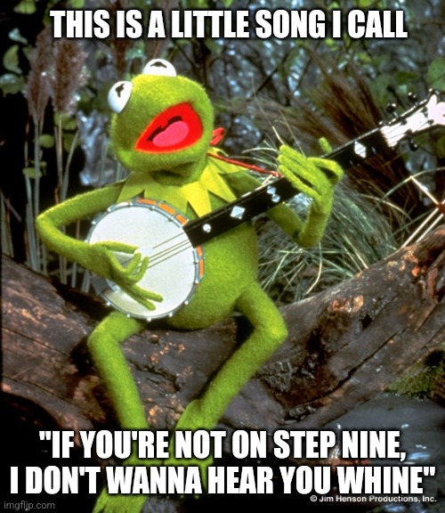 Kermit guitar  | THIS IS A LITTLE SONG I CALL; "IF YOU'RE NOT ON STEP NINE, I DON'T WANNA HEAR YOU WHINE" | image tagged in kermit guitar,aa,narcissist,crybaby,backstabber | made w/ Imgflip meme maker