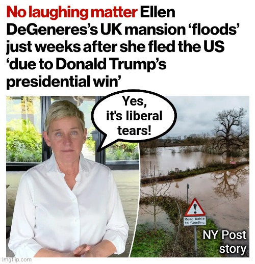 Massive flooding! | Yes,
it's liberal
tears! NY Post
story | image tagged in memes,liberal tears,ellen degenerate,democrats,trump derangement syndrome | made w/ Imgflip meme maker