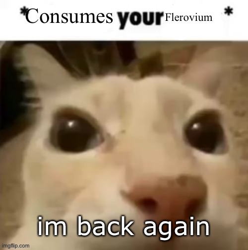 Yakko consumes your flerovium | im back again | image tagged in yakko consumes your flerovium | made w/ Imgflip meme maker
