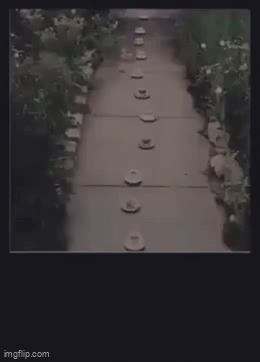 Path That Rocks Gif Animated GIF - Imgflip