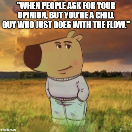 Chill guy | "WHEN PEOPLE ASK FOR YOUR OPINION, BUT YOU'RE A CHILL GUY WHO JUST GOES WITH THE FLOW." | image tagged in chill guy | made w/ Imgflip meme maker