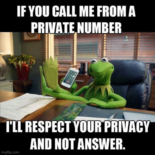 WAITING FOR YOUR CALL | image tagged in waiting for your call,kermit the frog,private,respect,privacy | made w/ Imgflip meme maker