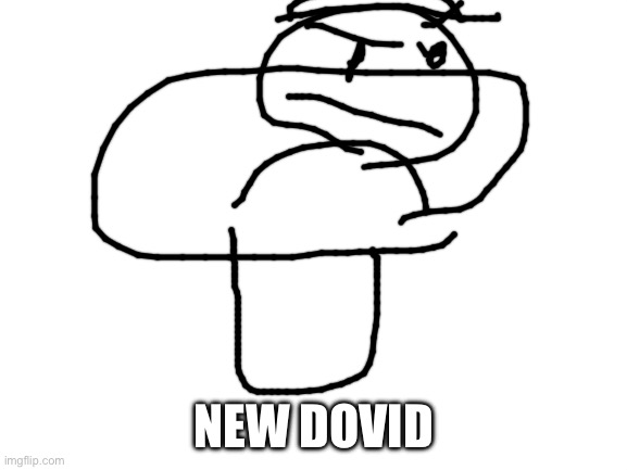 Blank White Template | NEW DOVID | image tagged in blank white template | made w/ Imgflip meme maker