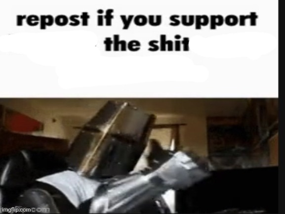 Repost if you support the shit | image tagged in repost if you support beating the shit out of pedophiles | made w/ Imgflip meme maker