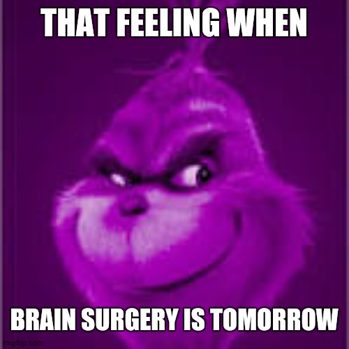 purple grinch | THAT FEELING WHEN BRAIN SURGERY IS TOMORROW | image tagged in purple grinch | made w/ Imgflip meme maker