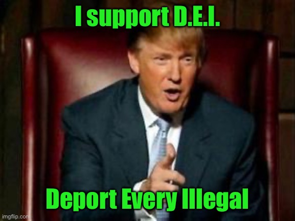 Donald Trump | I support D.E.I. Deport Every Illegal | image tagged in donald trump,maga,illegal immigration | made w/ Imgflip meme maker