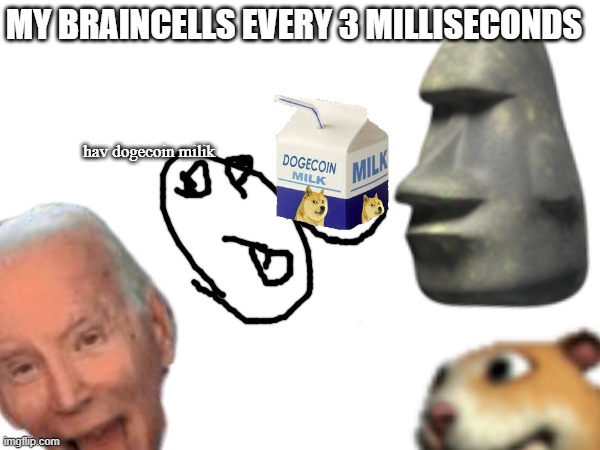 my braincells | MY BRAINCELLS EVERY 3 MILLISECONDS; hav dogecoin milik | image tagged in dumb | made w/ Imgflip meme maker