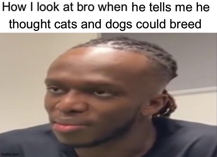 Bro says the stupidest things... | he tells me he; thought cats and dogs could breed | image tagged in how i look at bro when | made w/ Imgflip meme maker