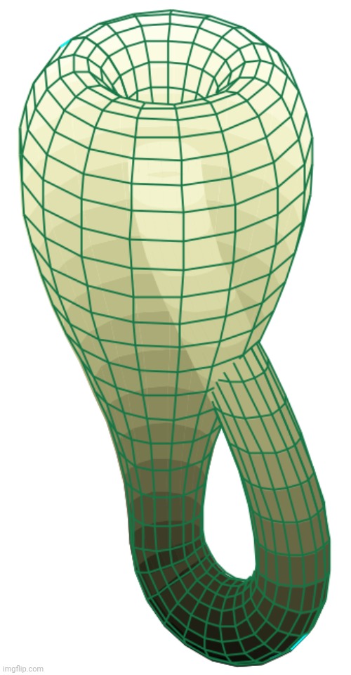 printable klein bottle dakimakura | made w/ Imgflip meme maker