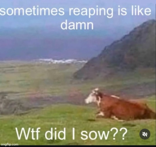 Do not listen to nugget, spread hate. | image tagged in wtf did i sow | made w/ Imgflip meme maker