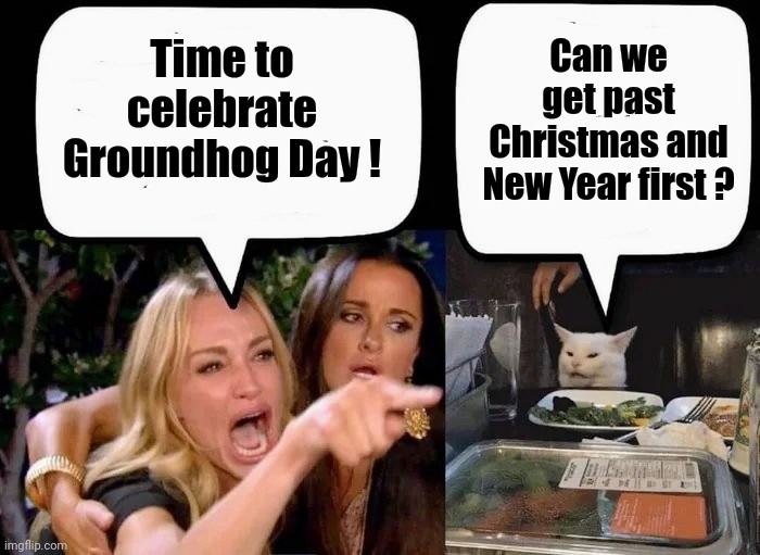 Don't eat the Cat | Time to celebrate Groundhog Day ! Can we get past Christmas and New Year first ? | image tagged in don't eat the cat | made w/ Imgflip meme maker