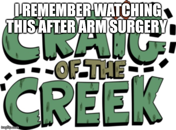 Shit was trippy because I was given medical ketamine | I REMEMBER WATCHING THIS AFTER ARM SURGERY | image tagged in craig of the creek logo | made w/ Imgflip meme maker