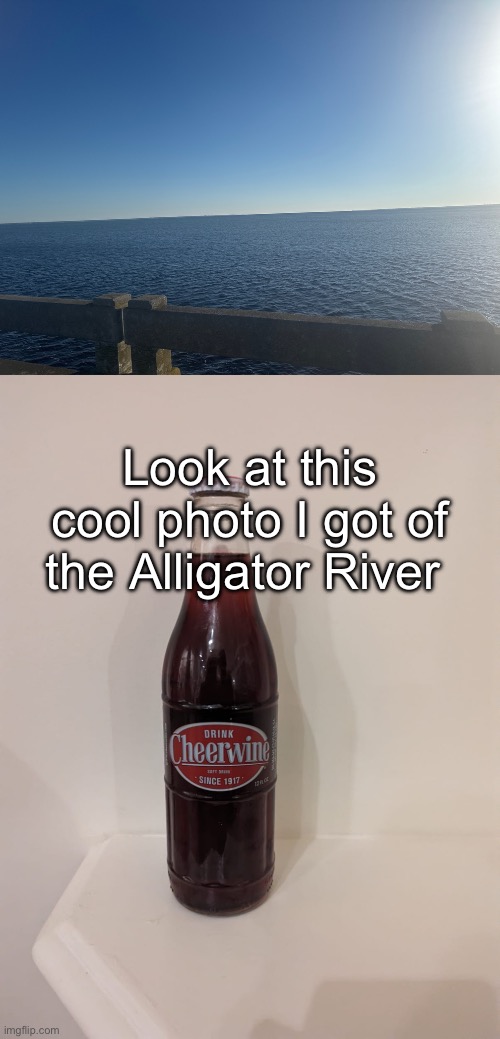 Look at this cool photo I got of the Alligator River | image tagged in cheerwine | made w/ Imgflip meme maker