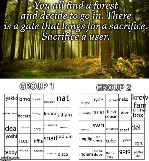 You all find a forest and decide to go in. There is a gate that longs for a sacrifice.
Sacrifice a user. | image tagged in sunlit forest,games | made w/ Imgflip meme maker