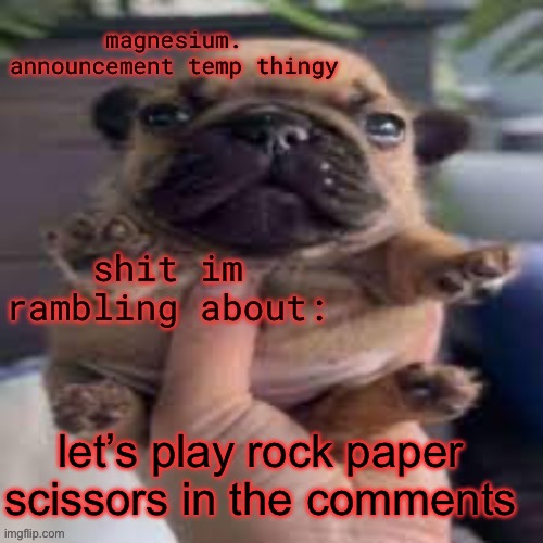 pug temp | let’s play rock paper scissors in the comments | image tagged in pug temp | made w/ Imgflip meme maker